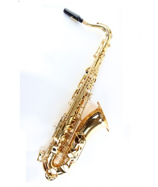 OTTNORTH 降B調 TENOR 金色